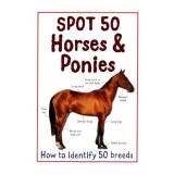 Spot 50 Horses Ponies