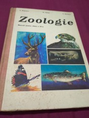 MANUAL CLASA VI ZOOLOGIE C.BOGOESCU 1974 CARTONATA foto