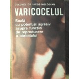 VARICOCELUL, BOALA CU POTENTIAL AGRESIV ASUPRA FUNCTIEI DE REPRODUCERE A BARBATULUI-IACOB MOLDOVAN-233219