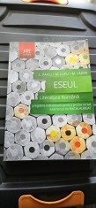 ESEUL LITERATURA ROMANA PREGATIRE INDIVIDUALA PROBA SCRISA BACALAUREAT PAICU