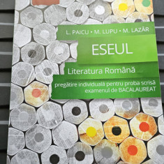 ESEUL LITERATURA ROMANA PREGATIRE INDIVIDUALA PROBA SCRISA BACALAUREAT PAICU