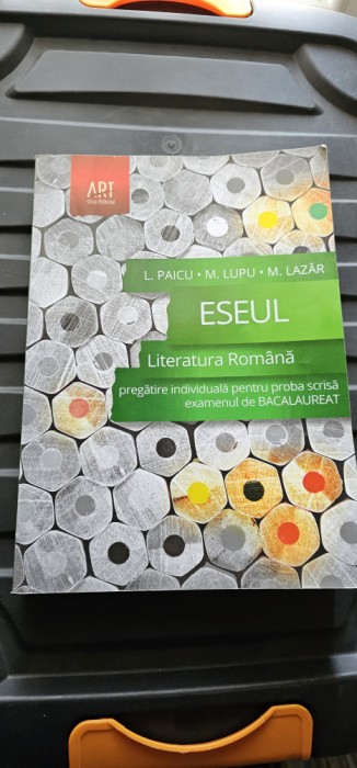 ESEUL LITERATURA ROMANA PREGATIRE INDIVIDUALA PROBA SCRISA BACALAUREAT PAICU