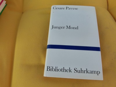 Junger Mond - Cesare Pavese foto