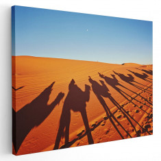 Tablou peisaj siluete caravana desert Tablou canvas pe panza CU RAMA 80x120 cm