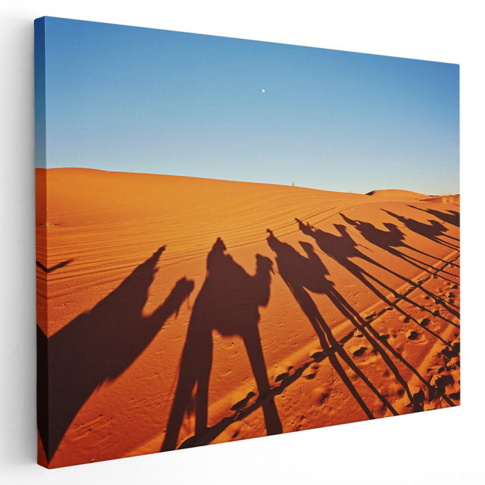 Tablou peisaj siluete caravana desert Tablou canvas pe panza CU RAMA 30x40 cm