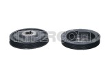 Fulie Curea, Arbore Cotit IMPERGOM 10575