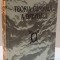 TEORIA GENERALA A DREPTULUI , 1997 de GHEORGHE LUPU , GHEORGHE AVORNIC