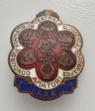 Insigna - Concursul formatiilor teatrale si muzicale