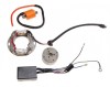 Stator aprindere si bobina Suzuki Rm250, Kawasaki Kx Cod Produs: MX_NEW AI22501