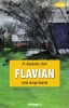 Flavian Vol.2: Viata Merge Inainte, Alexandru Torik - Editura Sophia