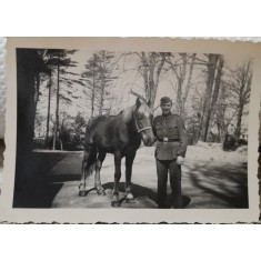 Fotografie, militar german cu calul, 1942