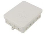 Cutie de Conexiuni IP55 100x125x40mm