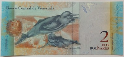 BANCNOTA EXOTICA 2 BOLIVARES - VENEZUELA, anul 2013 *cod 635 B = UNC foto