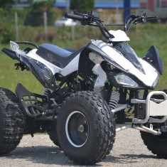 ATV KXD