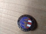 Industrie (1) Insigna Resita