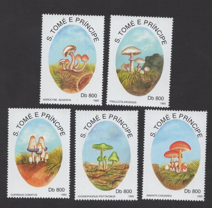 SAO TOME 1993 CIUPERCI