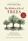 The Hidden Life of Trees: What They Feel, How They Communicatediscoveries from a Secret World
