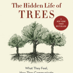 The Hidden Life of Trees: What They Feel, How They Communicatediscoveries from a Secret World