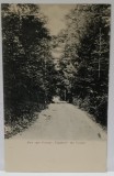 ALEEA SPRE POIANA &#039; TIGANCII &#039; , MANASTIREA VARATIC , CARTE POSTALA ILUSTRATA , CLASICA , CCA. 1900
