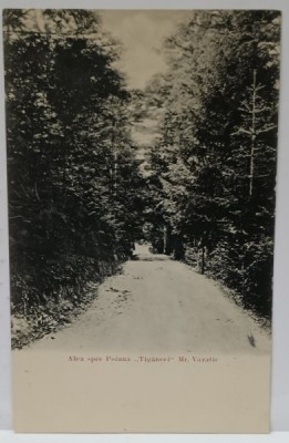ALEEA SPRE POIANA &amp;#039; TIGANCII &amp;#039; , MANASTIREA VARATIC , CARTE POSTALA ILUSTRATA , CLASICA , CCA. 1900 foto