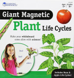 Ciclul vietii plantei - set magnetic, Learning Resources