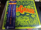 Vinil LP &quot;Japan Press&quot; Slim Richey&#039;s Jazz Grass &lrm;&ndash; Jazz Grass (EX)