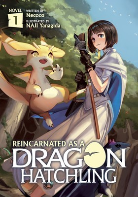 Reincarnated as a Dragon Hatchling (Light Novel) Vol. 1 foto