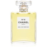 Chanel N&deg;19 Eau de Parfum cu atomizor pentru femei 100 ml