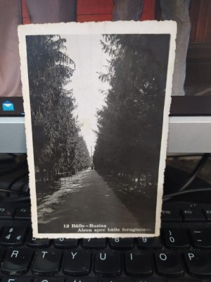 Băile Buziaș, Aleea spre băile feruginoase, fără editură, 25 august 1943, 205 foto
