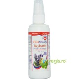Lac Fixativ Bio 100ml