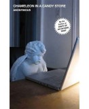 Chameleon in a Candy Store | Anonymous