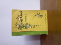 P&eacute;terfy Emilia, Csicseri Csincsi, 1956, carte pentru copii &icirc;n limba maghiară