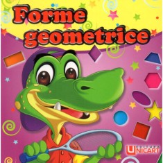Pliante cartonate - Forme geometrice - colectiv autori
