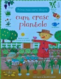 Prima mea carte despre cum cresc plantele - 2019 - Felicity Brooks (XC131), Univers Enciclopedic