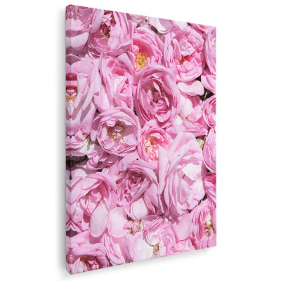 Tablou flori trandafiri roz Tablou canvas pe panza CU RAMA 40x60 cm foto