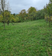 Teren Intravilan Daesti foto