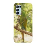 Husa compatibila cu Oppo A76 model Macaw snack, Silicon, TPU, Viceversa, Transparent, Carcasa