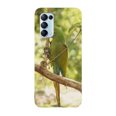 Husa compatibila cu Oppo Find X3 Lite model Macaw snack, Silicon, TPU, Viceversa foto