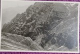 Fotografie, Bucegi, Valea Cerbului, 1963
