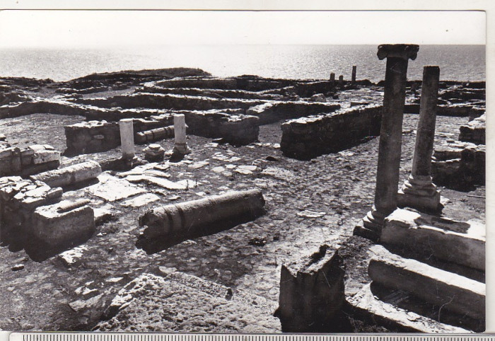 bnk cp Ruinele cetatii Histria - Vedere - necirculata
