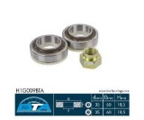 Set rulment roata FORD COURIER (F3L, F5L) (1991 - 1996) BTA H1G009BTA