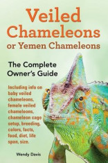 Veiled Chameleons or Yemen Chameleons as Pets. Info on Baby Veiled Chameleons, Female Veiled Chameleons, Chameleon Cage Setup, Breeding, Colors, Facts foto