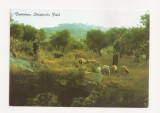 FA27-Carte Postala- ISRAEL - Bethlehem, Shepherd&#039;s field, necirculata, Circulata, Fotografie