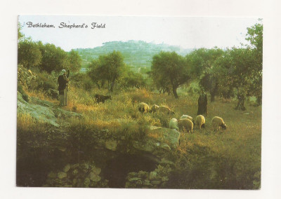 FA27-Carte Postala- ISRAEL - Bethlehem, Shepherd&amp;#039;s field, necirculata foto