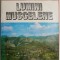Lumini muscelene &ndash; Dumitru Baciu