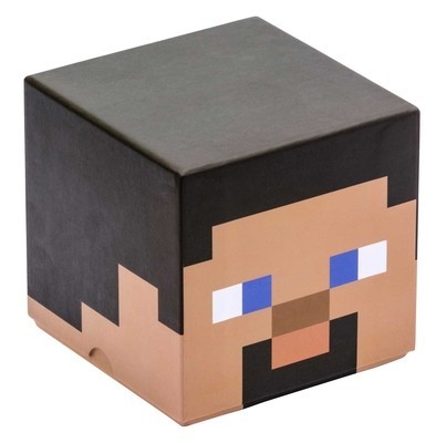 Minecraft: Steve Block Stationery Set foto