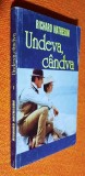 Undeva, Candva - Richard Matheson - Roman Beletristica