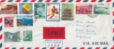 FILATELIE TEMATICA - PLIC JAPONIA TEMATICA INSECTE FLUTURI PASARI SPORT AIRMAIL, Fauna, Stampilat
