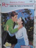 DRUM NECUNOSCUT-PATRICIA POTTER-344309