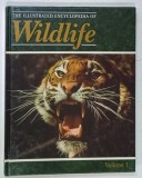 THE ILLUSTRATED ENCYCLOPEDIA OF WILDLIFE , VOLUME 1 , 1985